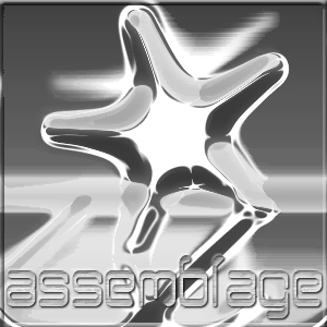 group image for assemblage24