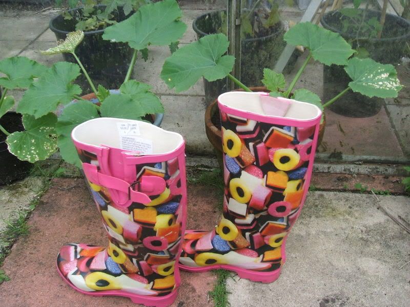 my yummy wellie boots