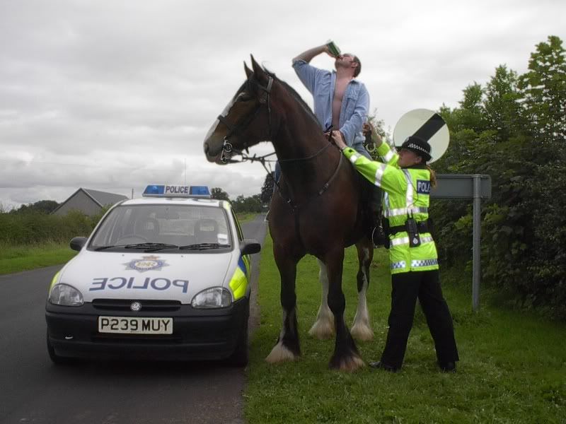 ARRESTEDDrunk in charge of a horse