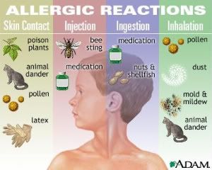 Allergies Pictures, Images and Photos
