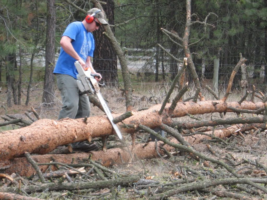 Price for little used Stihl 361? - Homesteading Questions