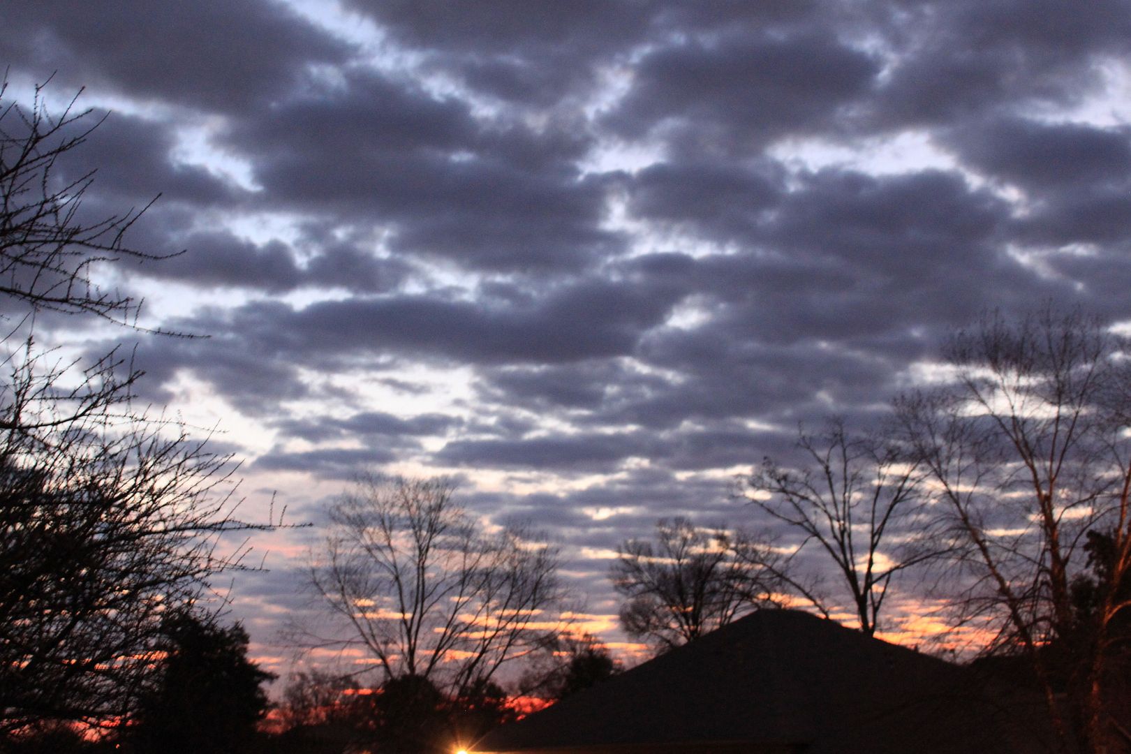 IMAGE: http://i130.photobucket.com/albums/p242/missjtiger/nature/misc022.jpg