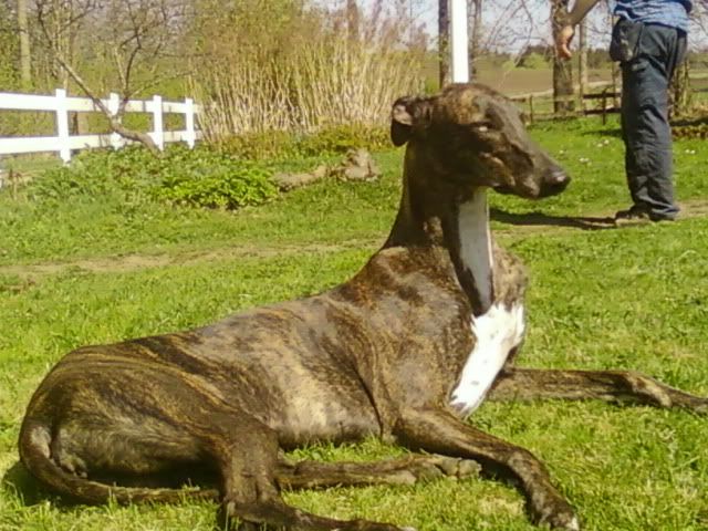 Foto0527.jpg