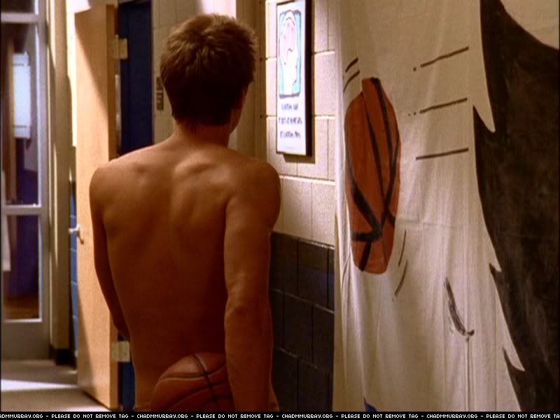 Will murray gay