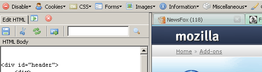 Web Developer