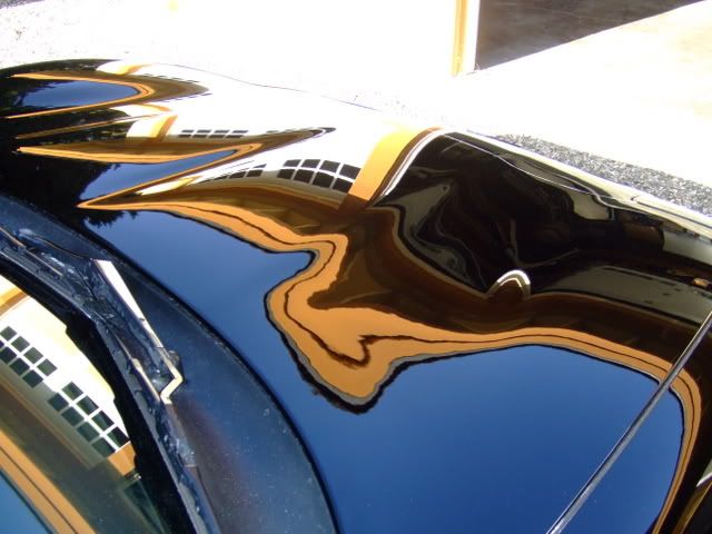 DSCF1651.jpg