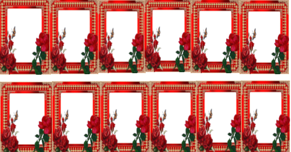 friend frame view red rose.png