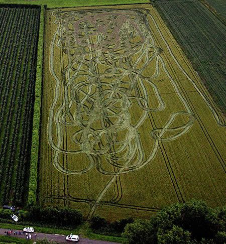 cropcircle.jpg