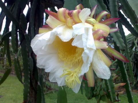 01072007010-1.jpg