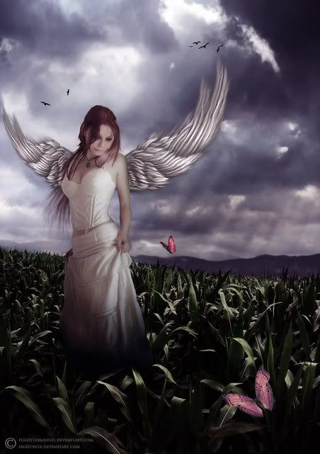 pictures fairy angel dark blue photos myspace hi5 ibibo imeem pictures fairy angel dark blue photos myspace hi5 ibibo imeem