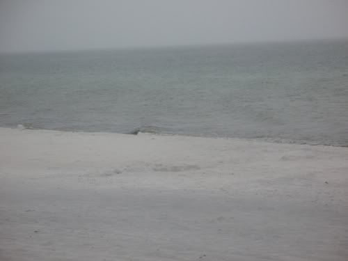 IMG_3218.jpg