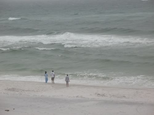 IMG_3228.jpg