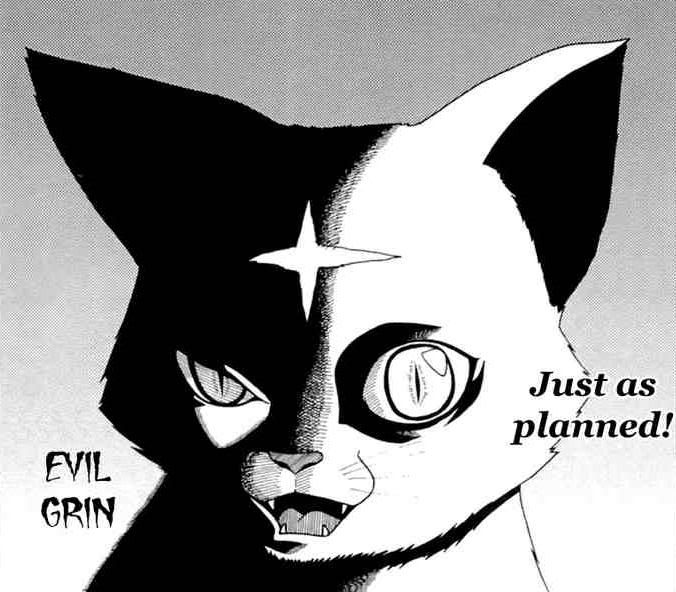 Forum Image: http://i130.photobucket.com/albums/p249/rober2/Justasplannedkitty.jpg