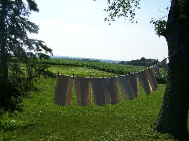 Hanging clothes on the line - Homesteading Questions