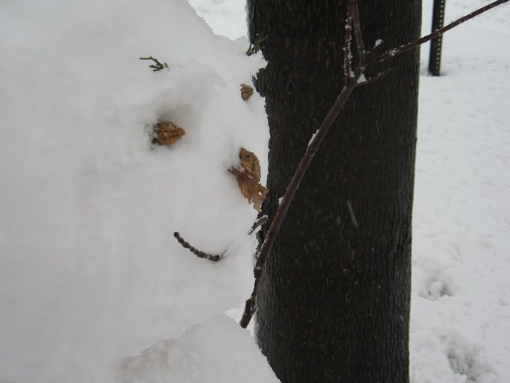 snowface.jpg