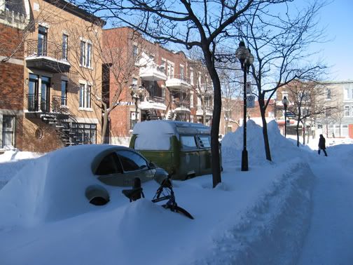 snowyRoystreet.jpg