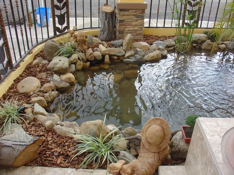 Hace tu propia cascada con arroyo - Info en Taringa!