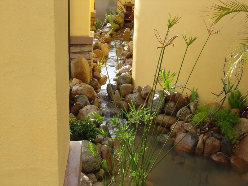 Hace tu propia cascada con arroyo - Info en Taringa!