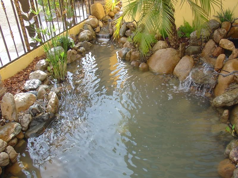 Hace tu propia cascada con arroyo - Info en Taringa!