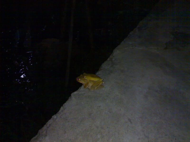 thư giản đầu óc nào.... ^^ - 2