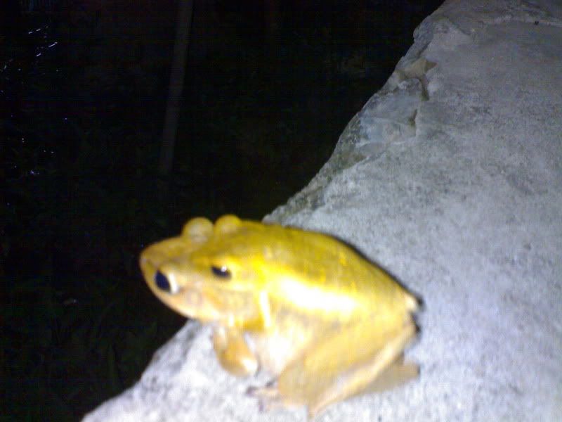 thư giản đầu óc nào.... ^^ - 3