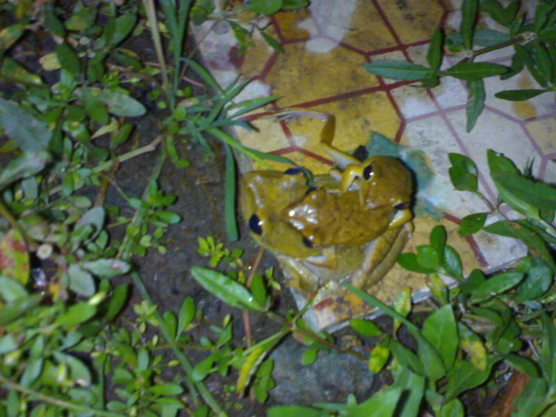 thư giản đầu óc nào.... ^^ - 4