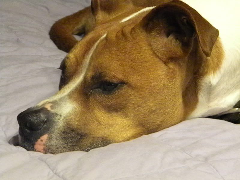 DSCN0017.jpg