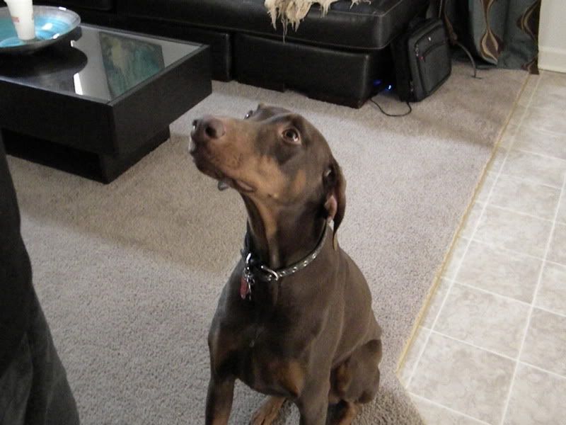 DSCN0270.jpg