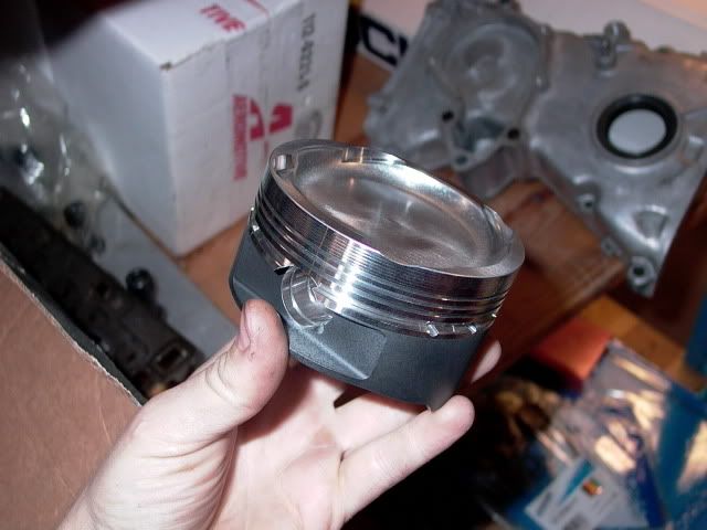 P1020156.jpg