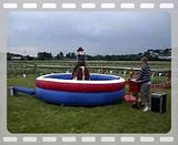 th_IMGP1240.jpg