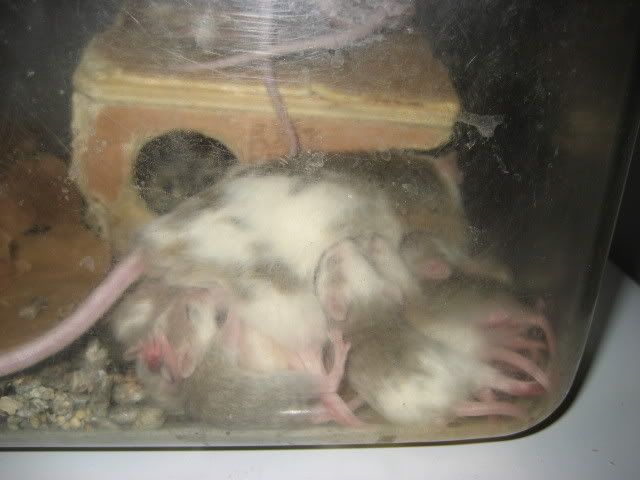 Picture542.jpg