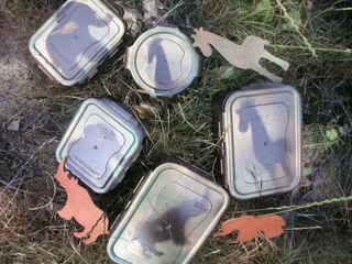 Photo Sharing and Video Hosting at Photobucket