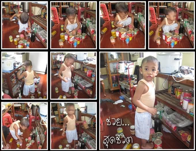 แผลมดกัด