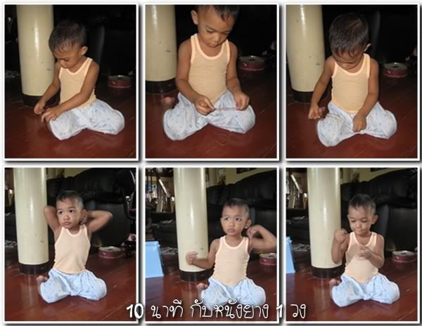 แผลมดกัด