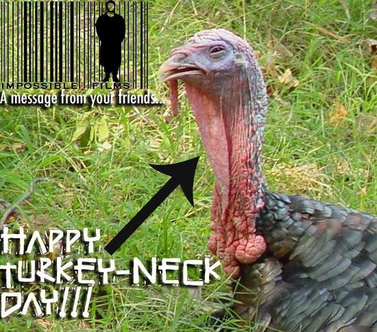 Turkeyacopy.jpg