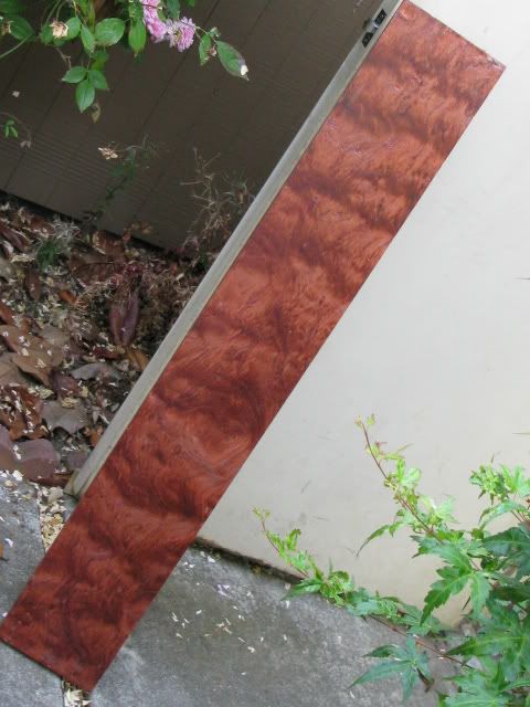 woods006.jpg