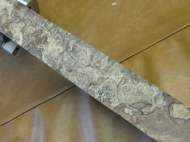 woods012.jpg