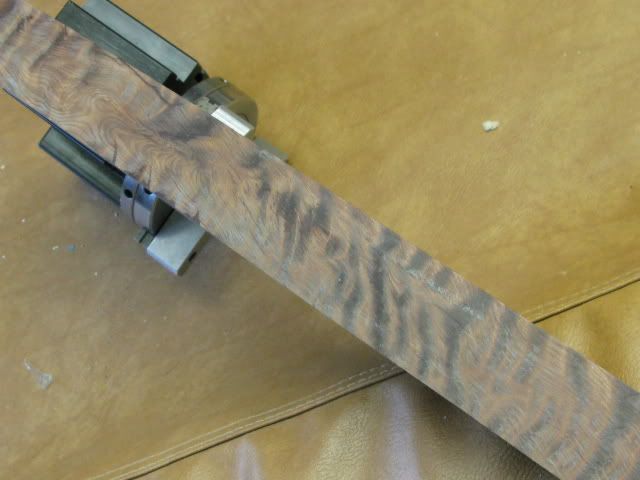 woods013.jpg