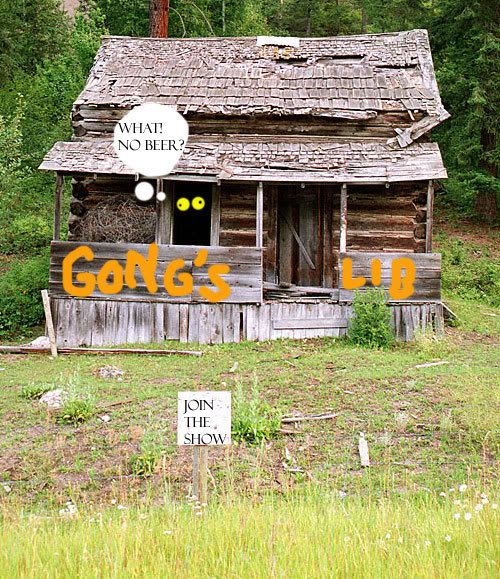 gongsnewlib.jpg