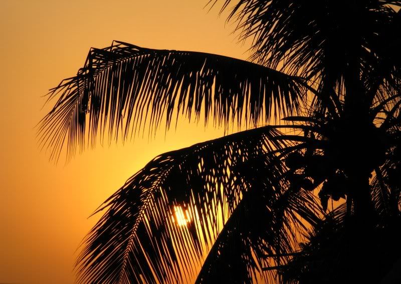 IMAGE: http://i130.photobucket.com/albums/p266/dissel_2007/Sunset.jpg