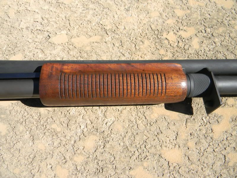 Stock refinishing Shotgun Forum