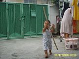 ต้นคูนหนีออกจากบ้าน