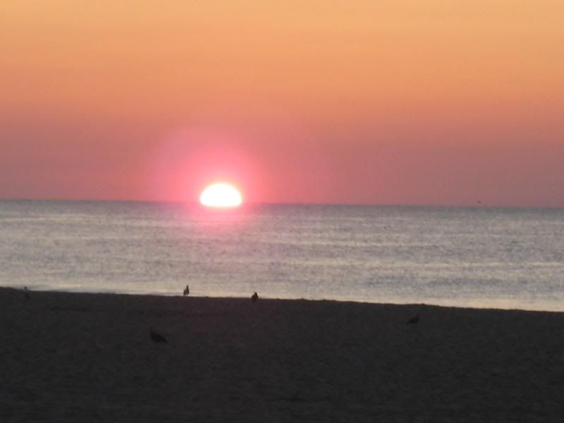 Belmar014.jpg