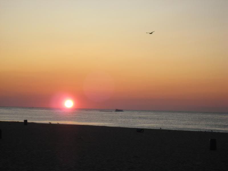 Belmar018.jpg