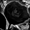 thblackrose.gif Black Rose image by devils_dark_angel