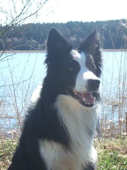 DSCF0821.jpg