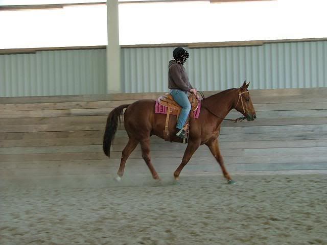 DSCF6095.jpg