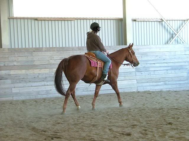 DSCF6126.jpg
