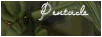 button.png image by AnaGraphicsAlbum