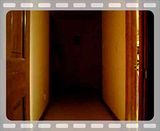 MOV00994.mp4 video by msgmsgmsg